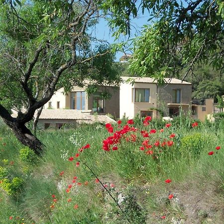 Alen D'Aragon Guest House Santa Eulalia de Gállego Eksteriør bilde
