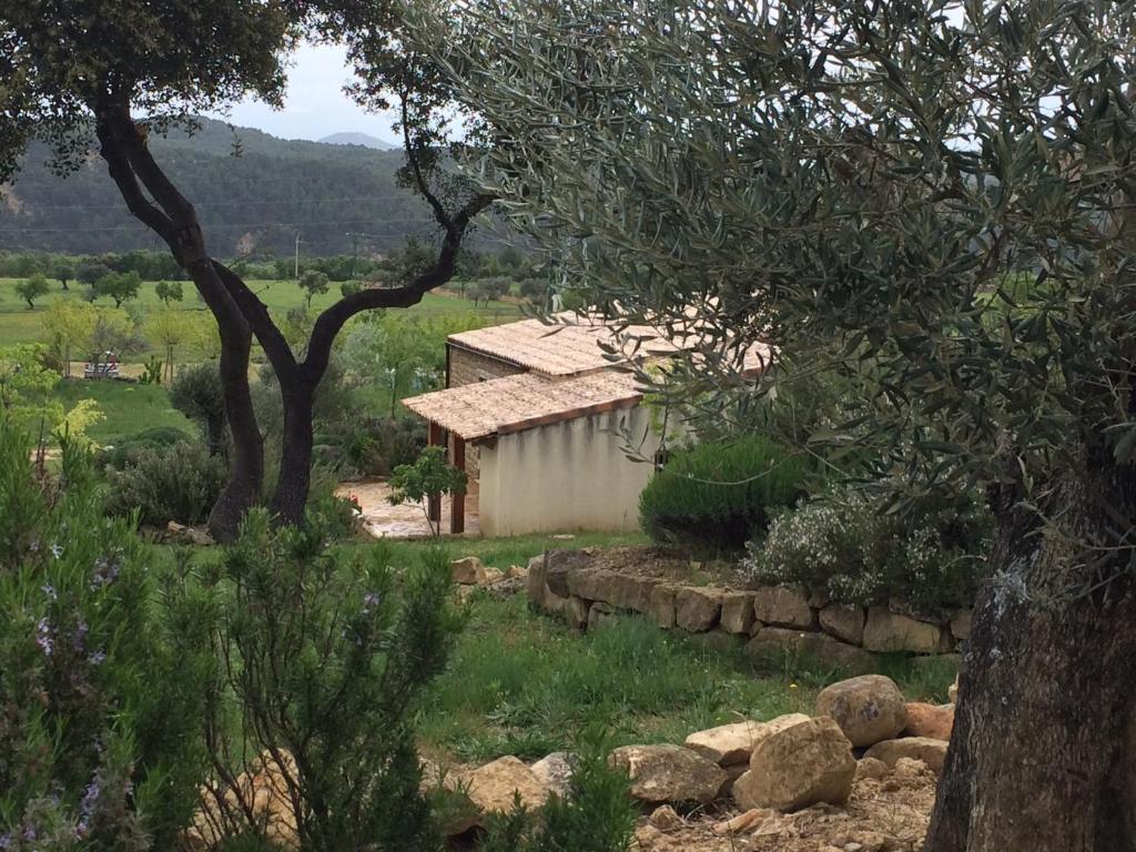 Alen D'Aragon Guest House Santa Eulalia de Gállego Rom bilde