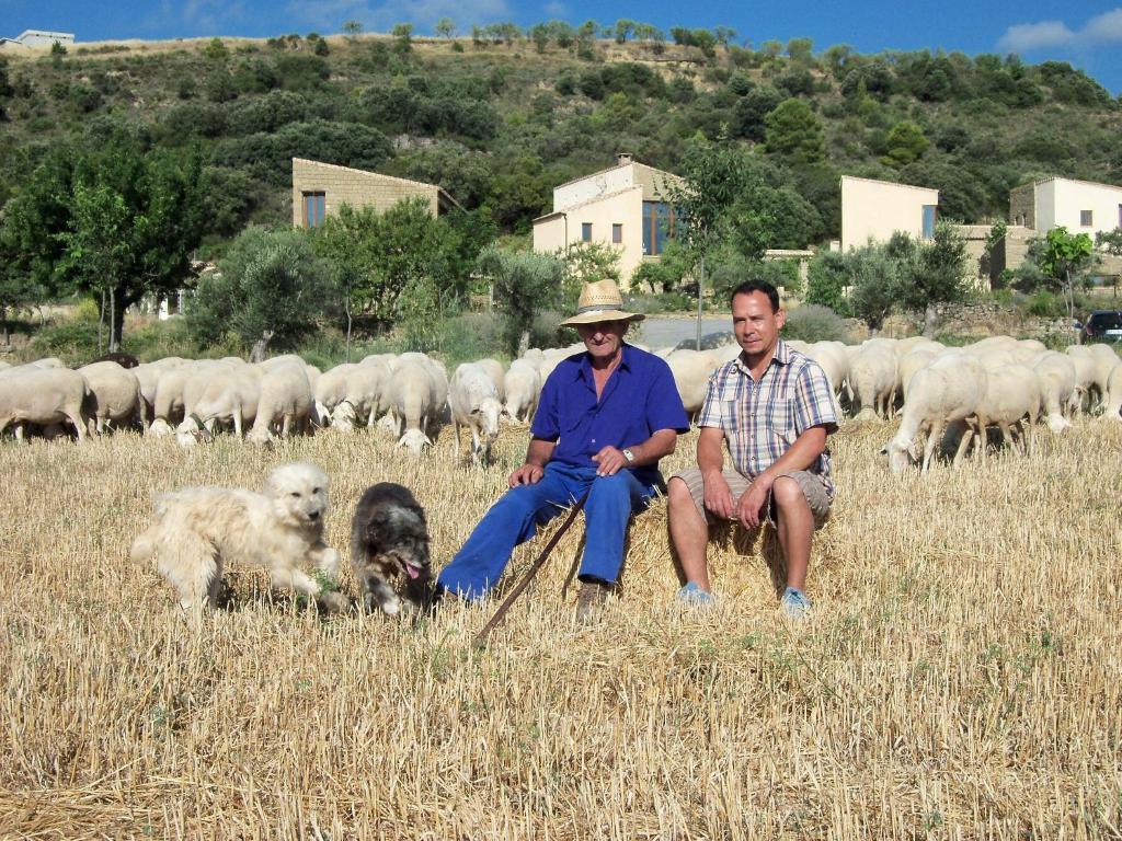 Alen D'Aragon Guest House Santa Eulalia de Gállego Eksteriør bilde